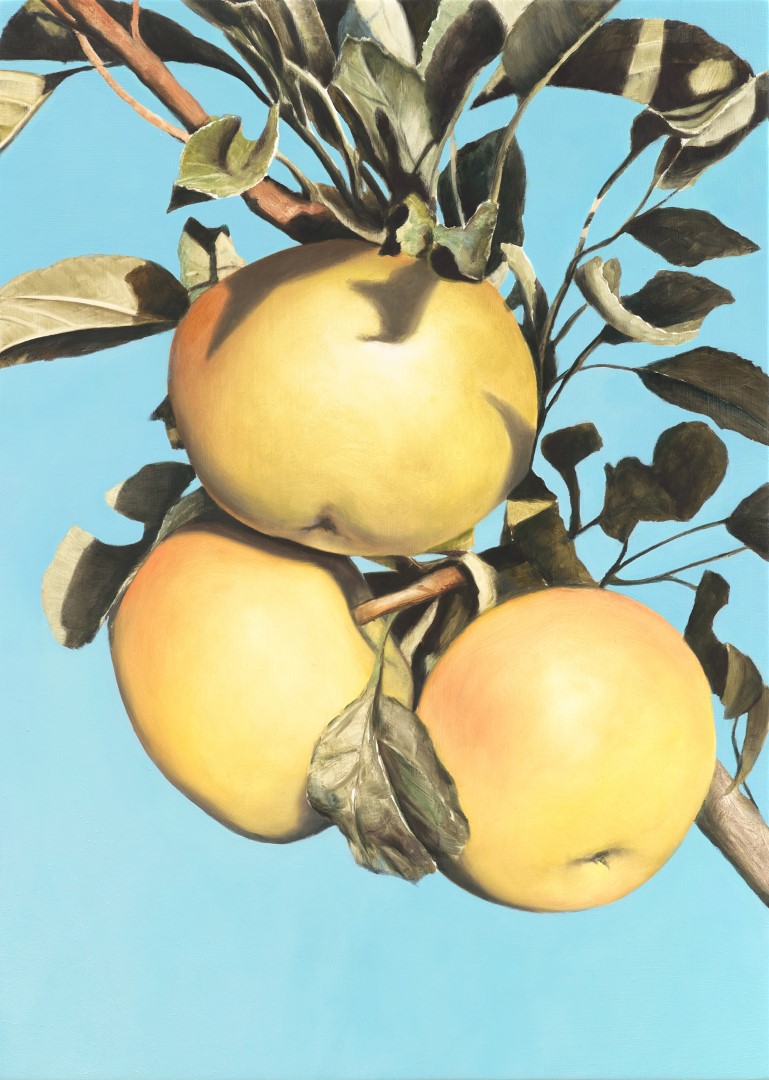 Helios' Apples 2 (2021), 70 x 50 cm, oil on panel (private collection)